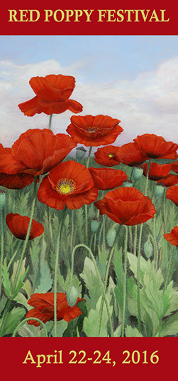 RedPoppyBanner