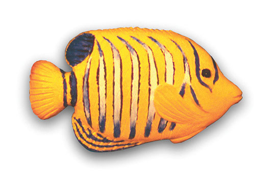 angelfish sculpture1