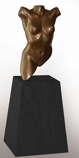 Sm Torso