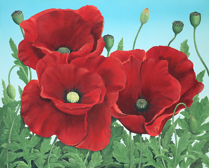 Poppy Painting