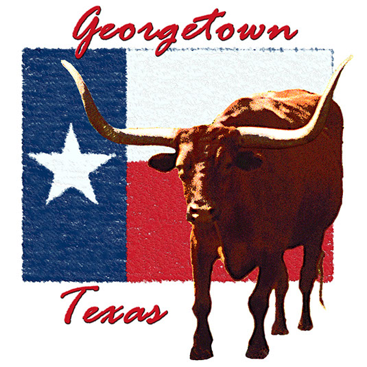 Standing Longhorn on Flag