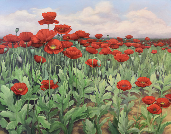Poppies2015Final