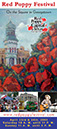 Poppy Card Flat