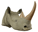 White Rhino