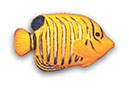 angelfish sculpture1