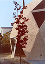 ExteriorTree