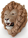 Lion2