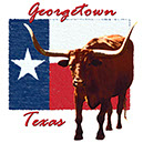 Standing Longhorn on Flag