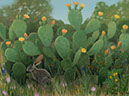 cactusrabbit painting