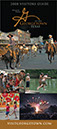 2008VisGuide