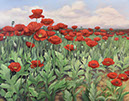 Poppies2015Final