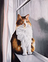 Lisa's CatBOOKIMAGE