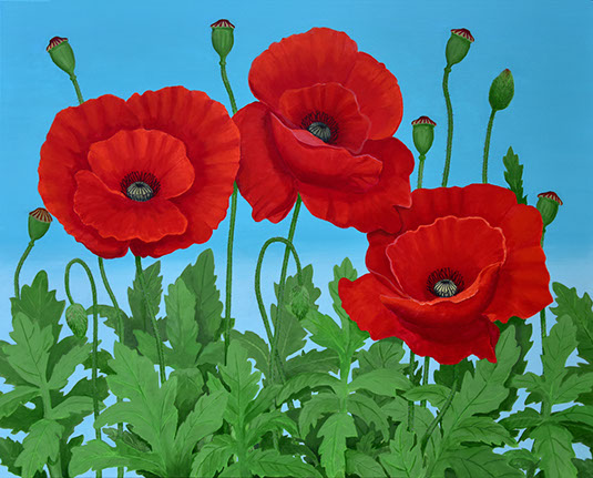 Poppies202220_24x30