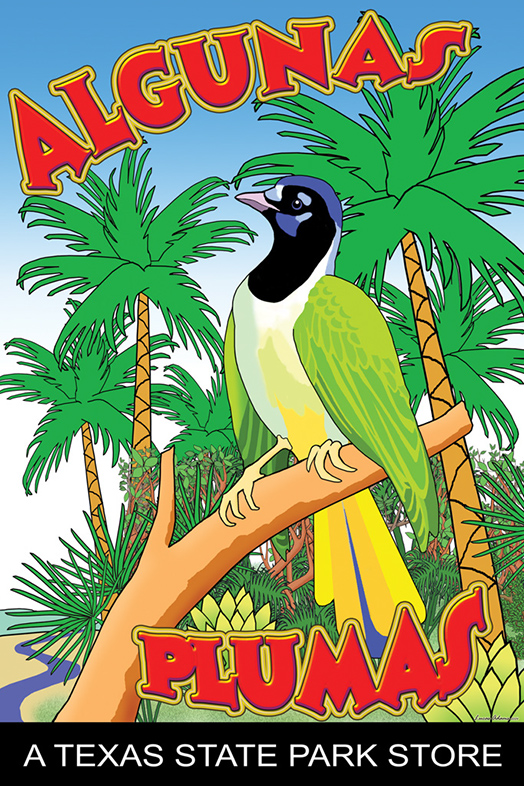 Algunas Poster
