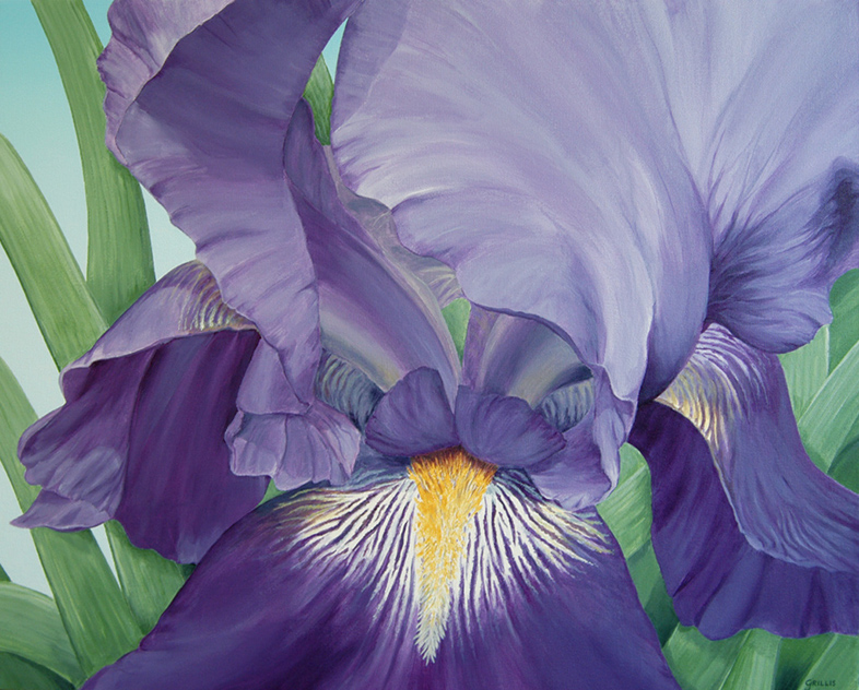 Iris 2