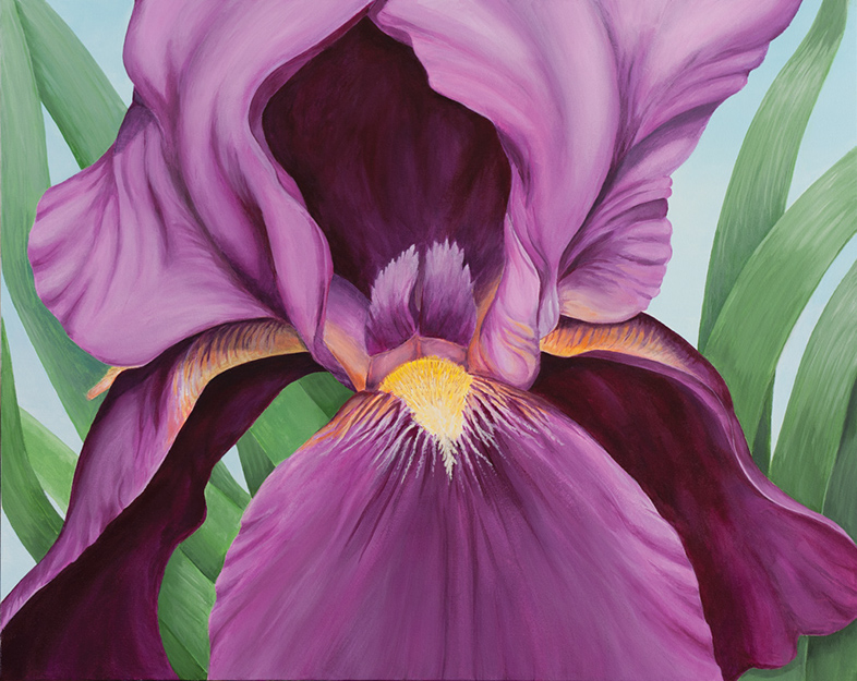 Iris2011