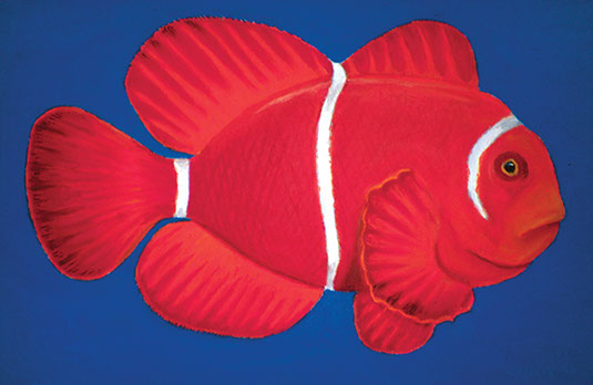 clownfish2 oil pastel