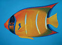 orange fish